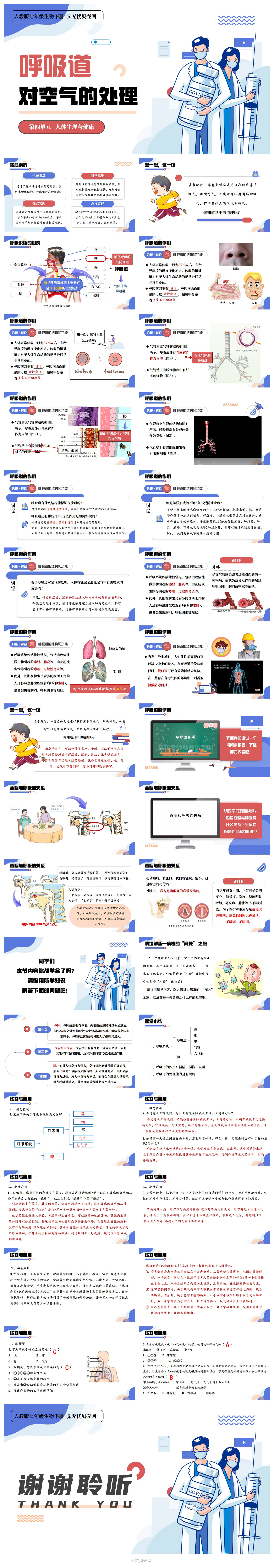 呼吸道对空气的处理1.jpg