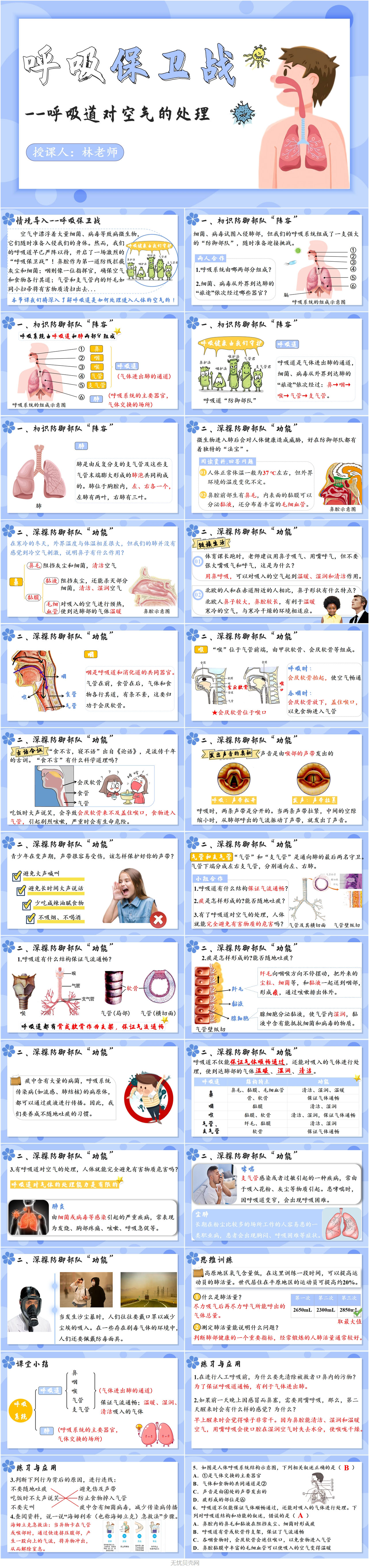 3.1呼吸道对空气的处理1.jpg