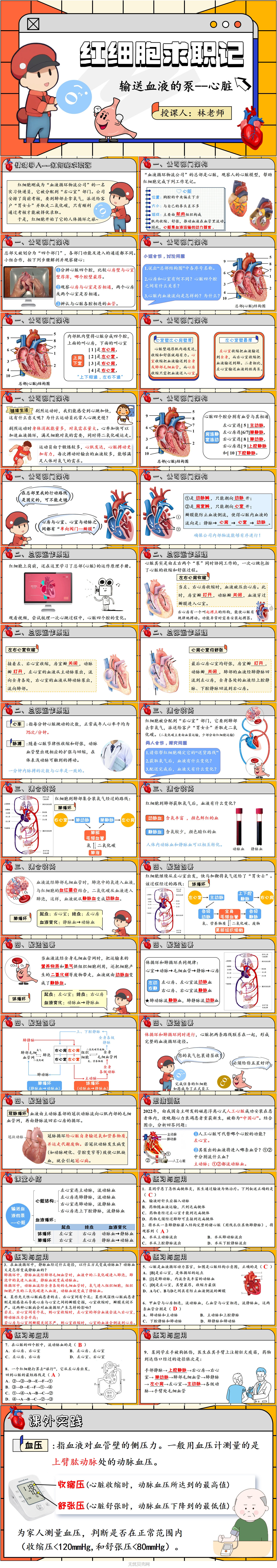 4.3输送血液的泵——心脏1.jpg