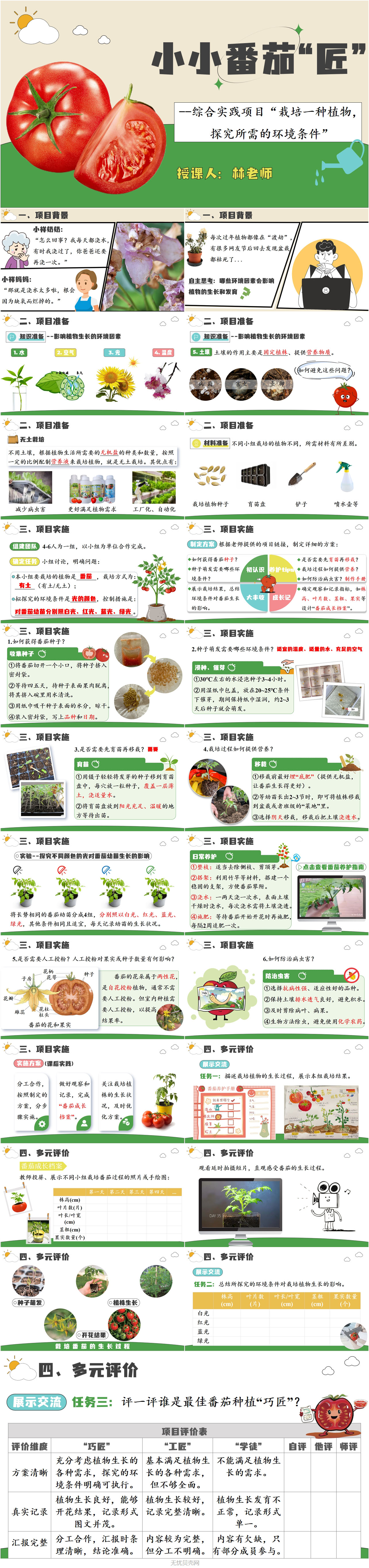 综合实践项目--栽培一种植物，探究所需的环境条件1.jpg