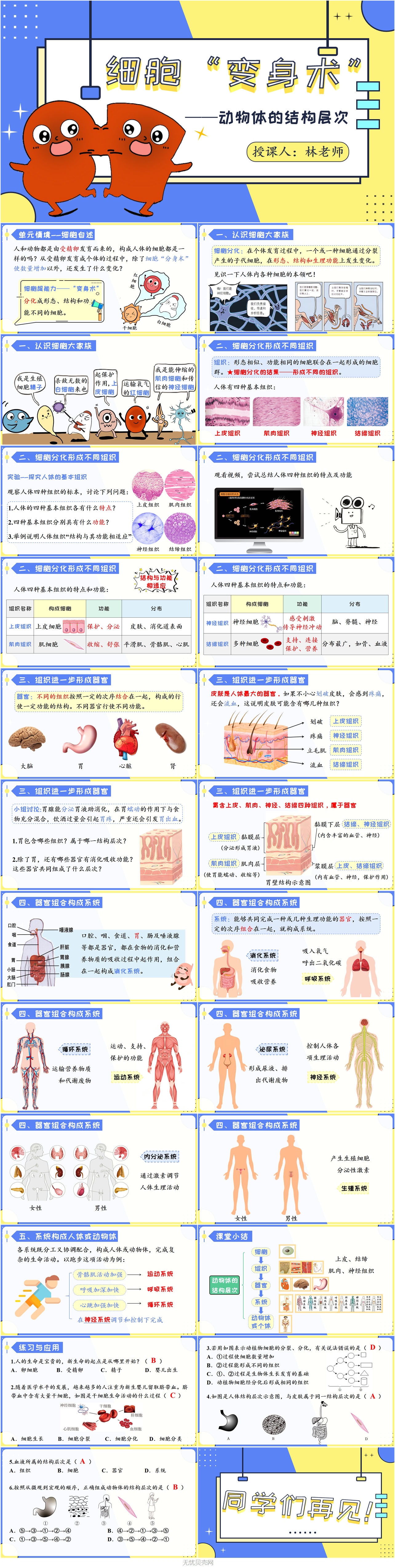 1.3.2动物体的结构层次1.jpg
