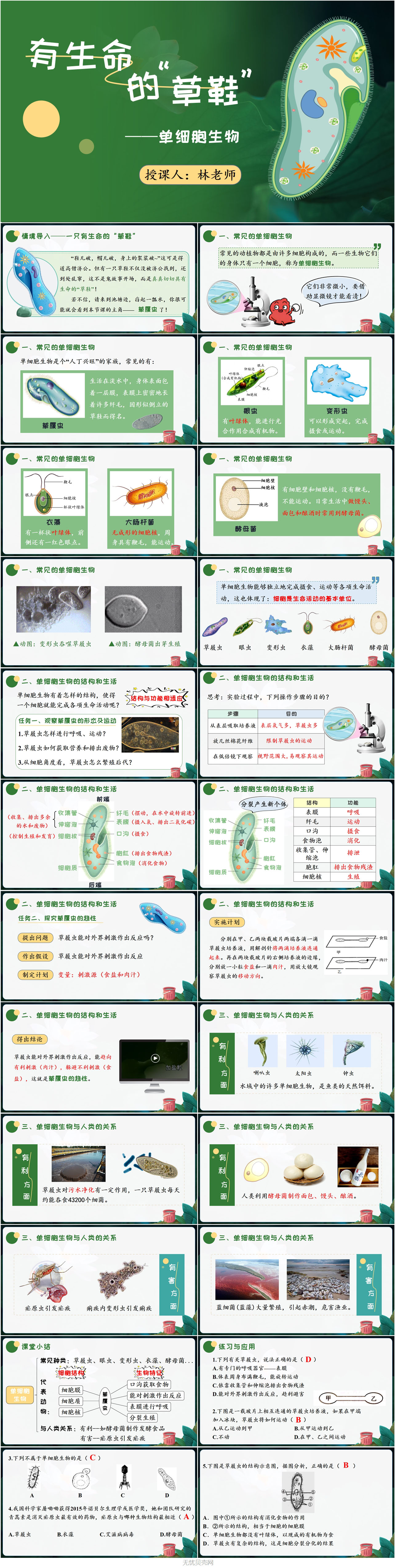 1.3.4单细胞生物1.jpg
