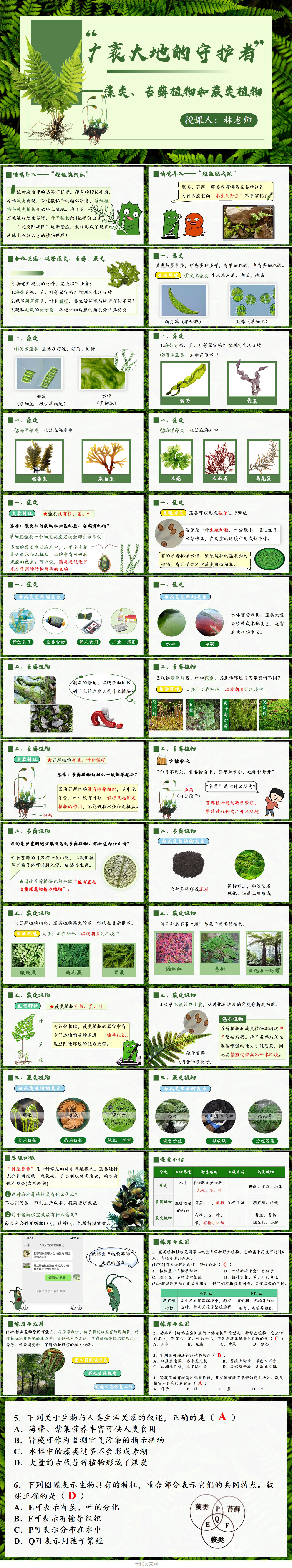 2.1.1藻类、苔藓和蕨类植物1.jpg
