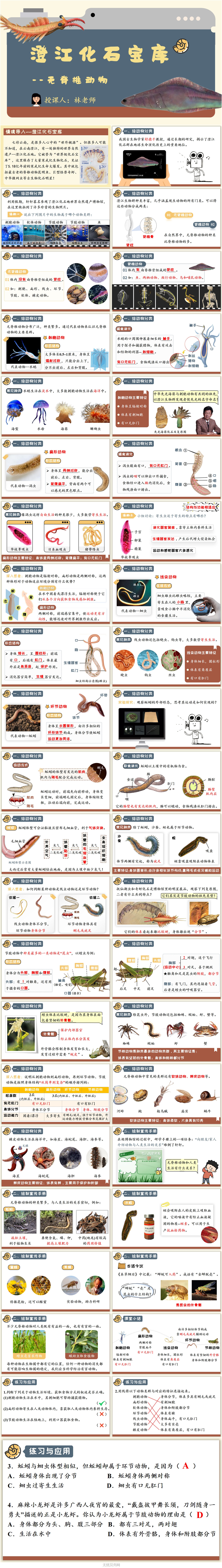2.2.1无脊椎动物1.jpg