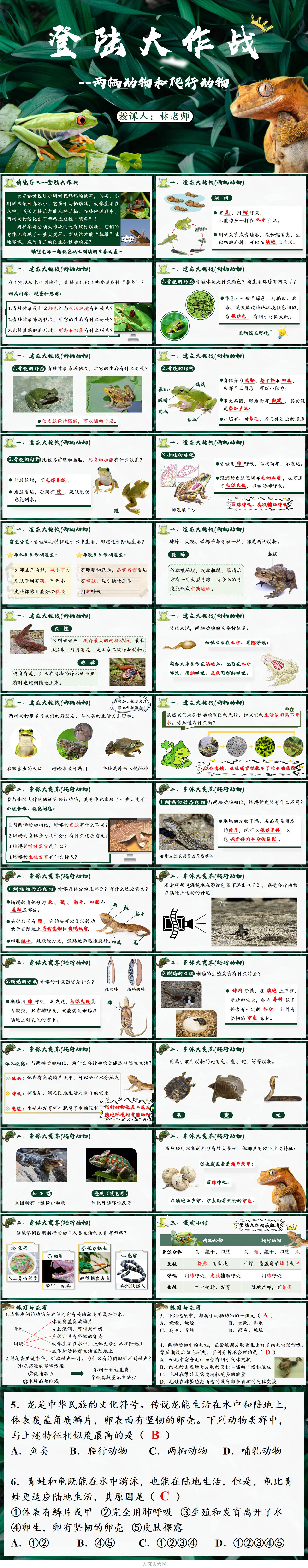 2.2.2两栖动物和爬行动物1.jpg