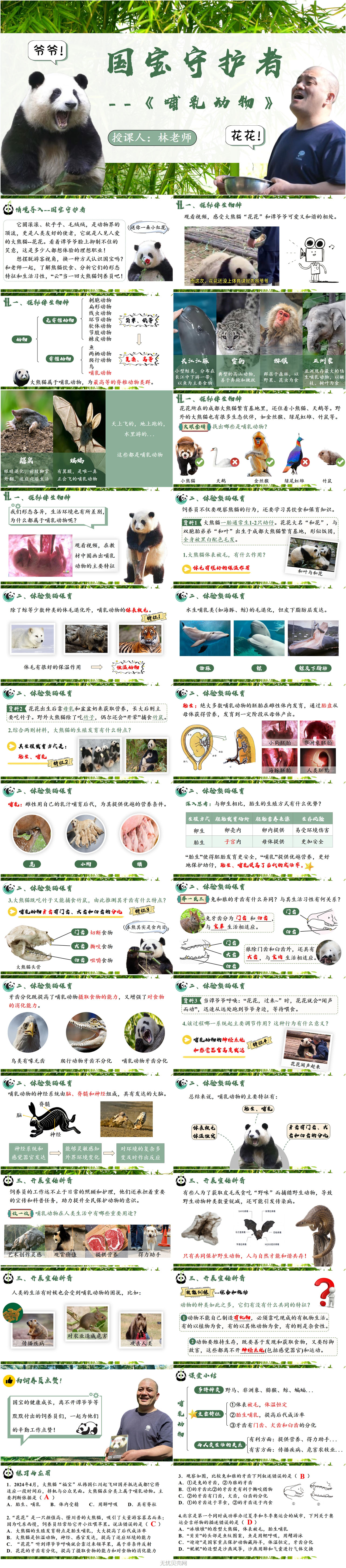 2.2.3哺乳动物1.jpg
