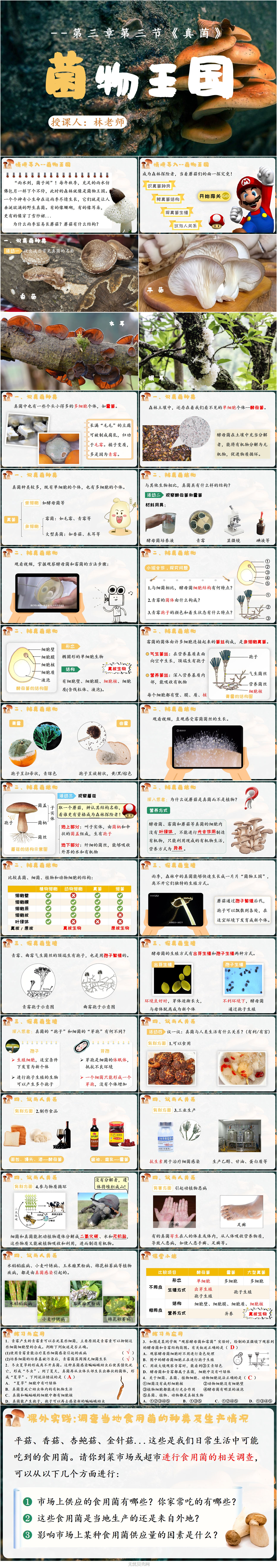 2.3.3真菌1.jpg