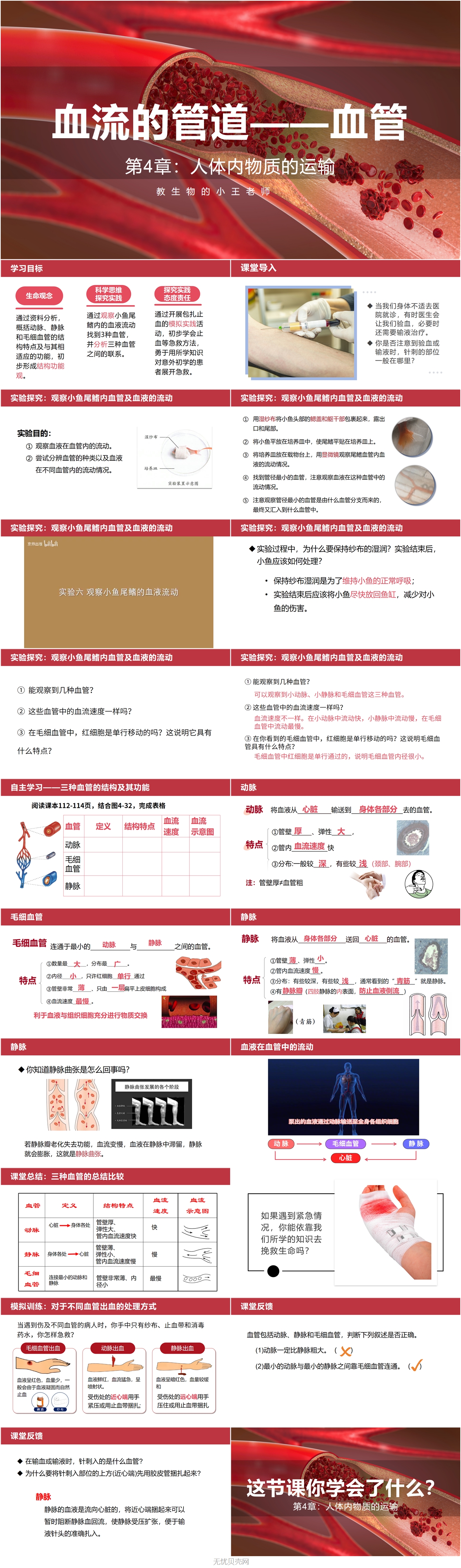 4.4.2血流的管道——血管1.jpg