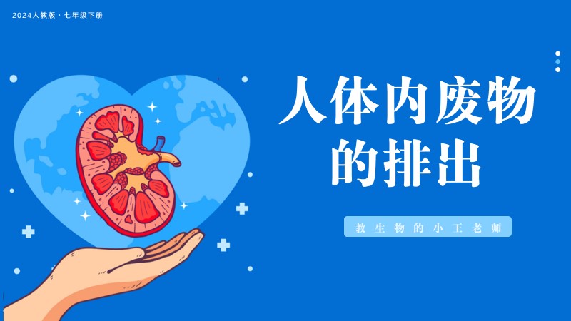 新教材初中生物人教版七下4.5人体内废物的排出@教生物的小王老师