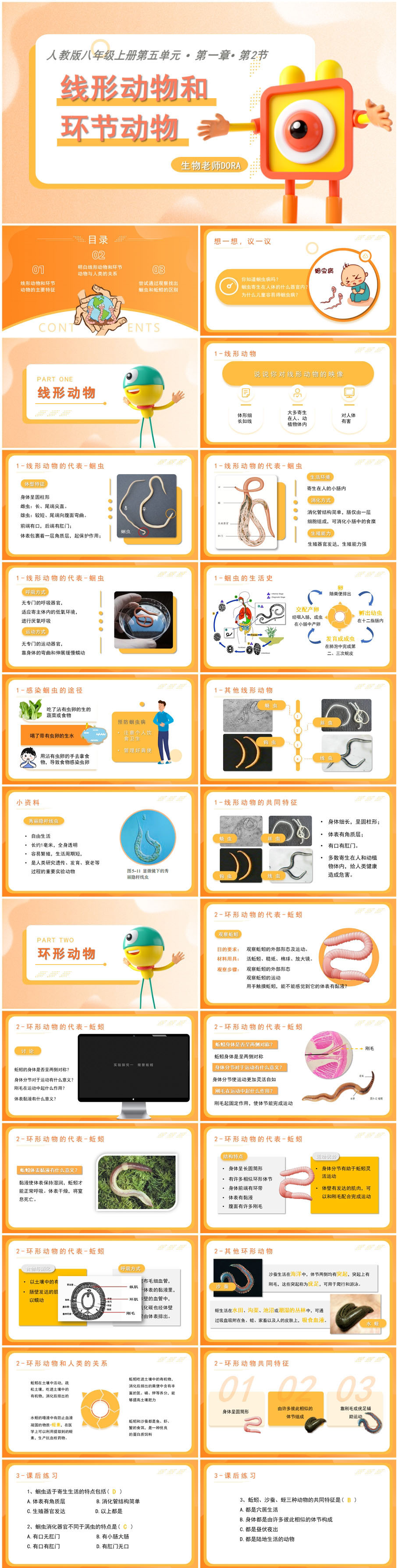 5.1.2线形动物和环节动物x.jpg