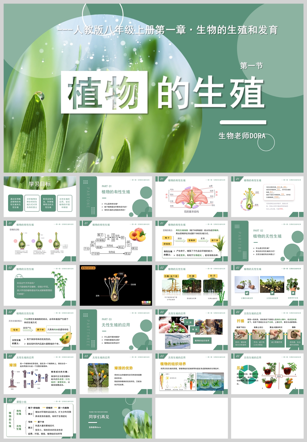 7.1.1植物的生殖.jpg