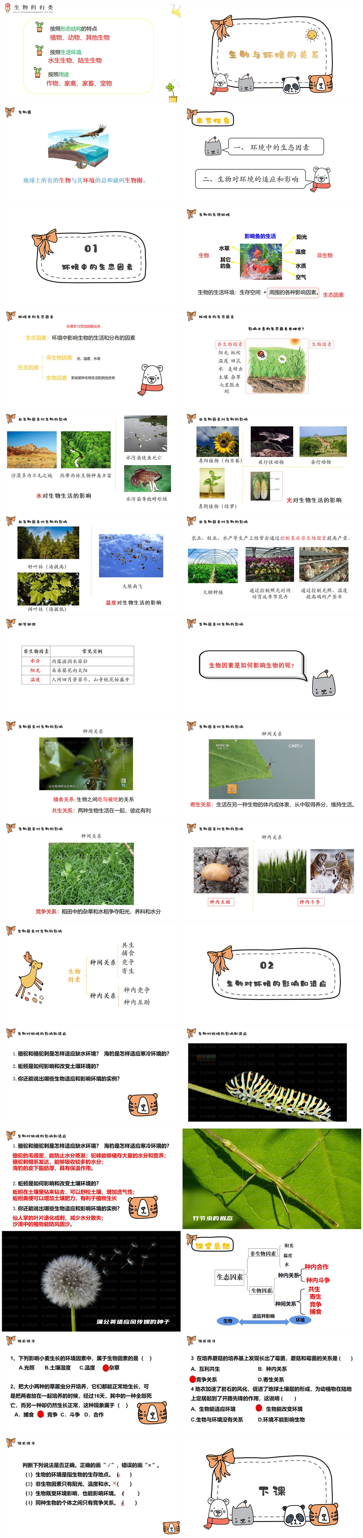1.2.1 生物与环境的关系(第1课时）x.jpg