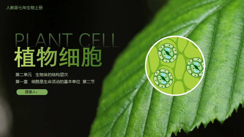 初中生物人教版七上2.1.2植物细胞