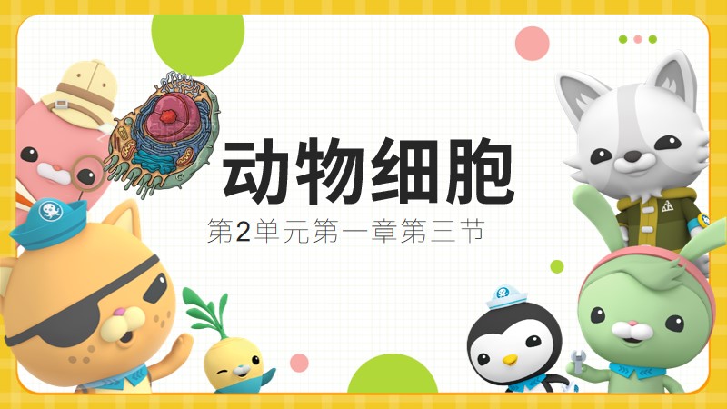 初中生物人教版七上2.1.3动物细胞