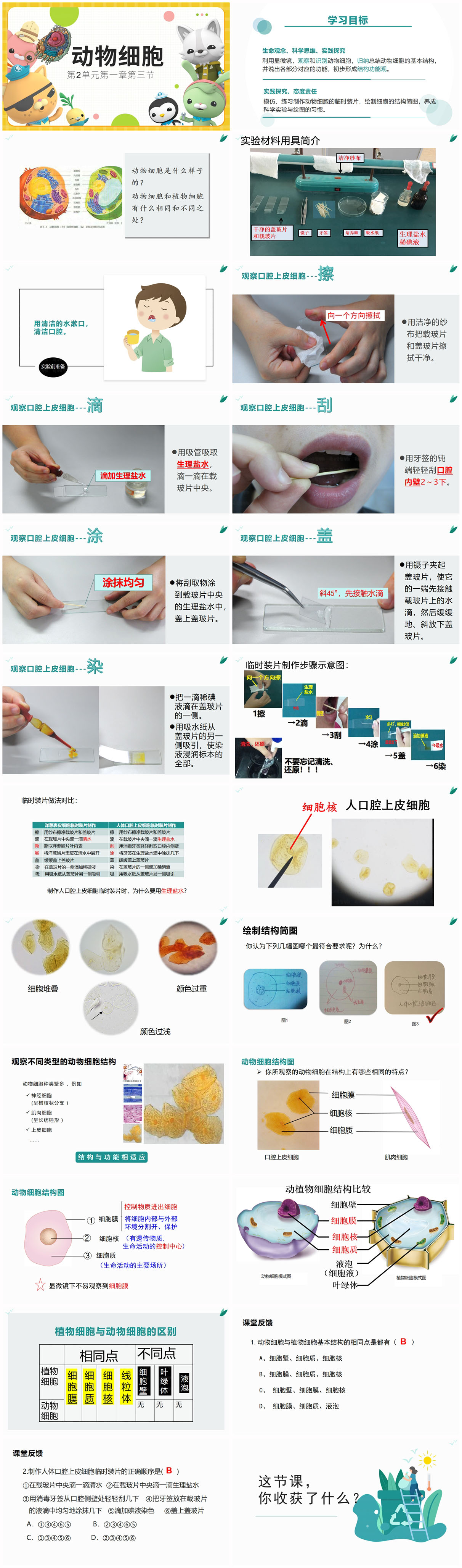 2.1.3动物细胞-更x.jpg