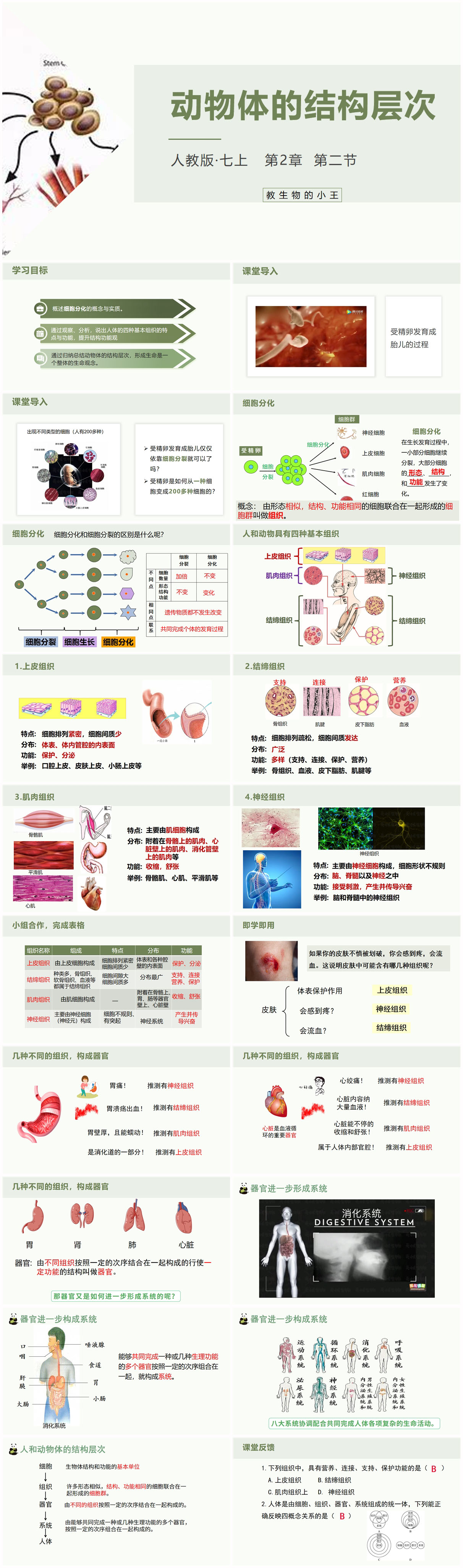 2.2.2动物体的结构层次-改x.jpg