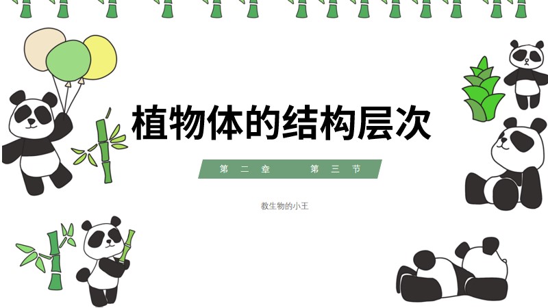 初中生物人教版七上2.2.3植物体的结构层次