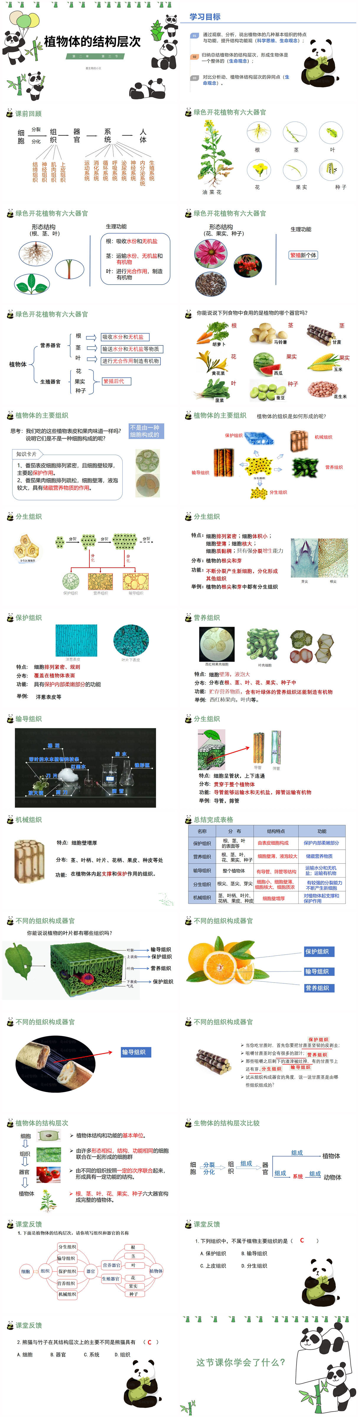 2.2.3植物体的结构层次-改x.jpg
