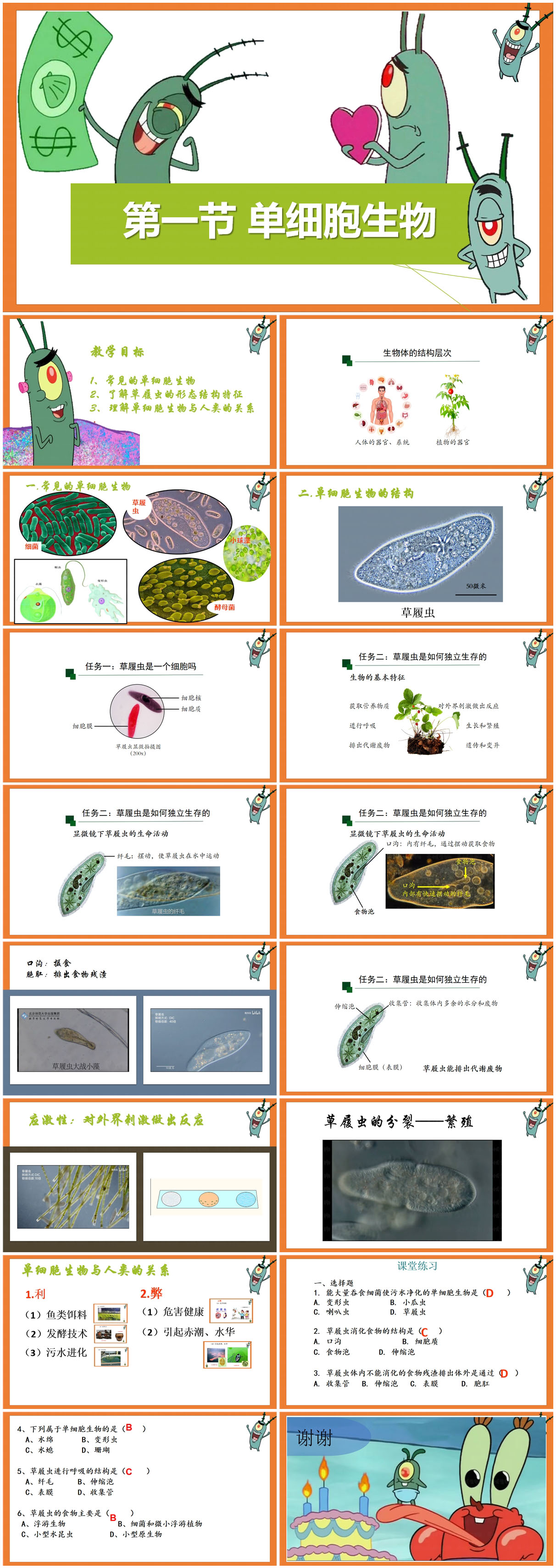 2.2.4 单细胞生物x.jpg