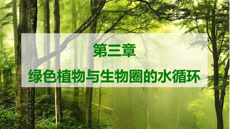 初中生物人教版七上3.3.1绿色植物与生物圈的水循环