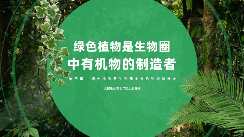 初中生物人教版七上3.4绿色植物是生物圈中有机物的制造者