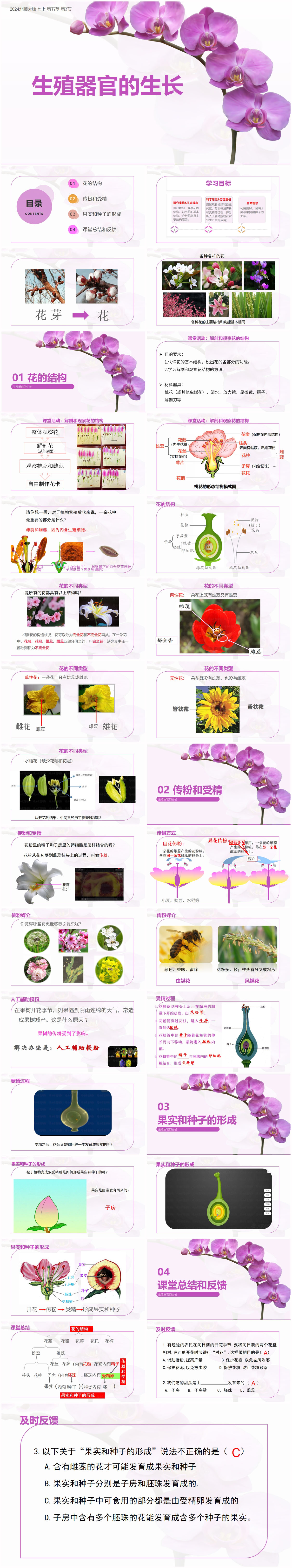 5.3生殖器官的生长x.jpg